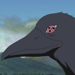 crows (snippet) (2022)