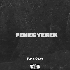 FLP X COXY-FENEGYEREK