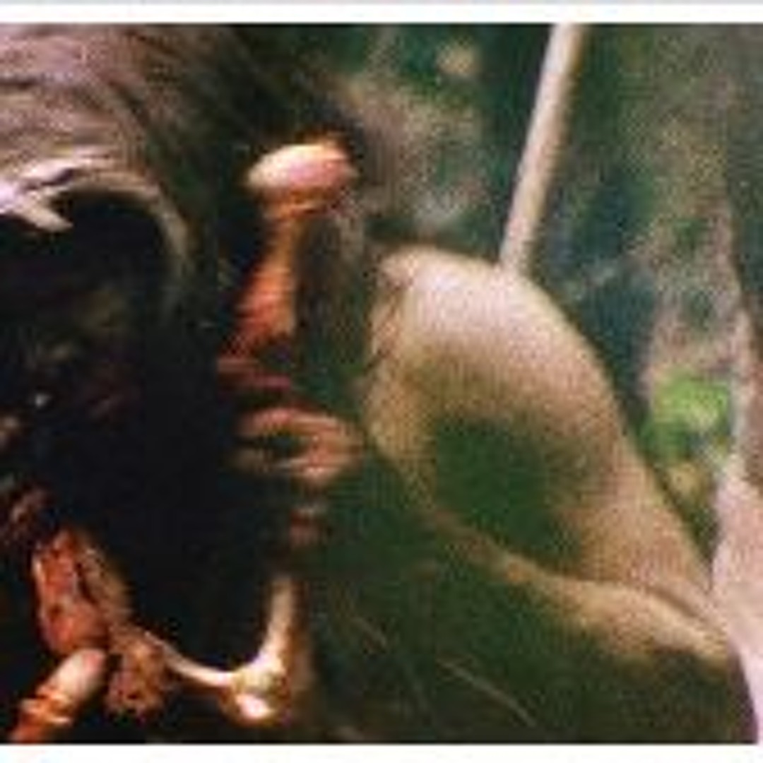 Stream Cannibal Holocaust 1980 FuLLMovie in MP4 TvOnline from manggis Listen online for free on SoundCloud