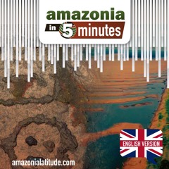 Amazon in 5 minutes: 2,000-year-old archaeological sites