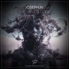 The Past Is Gone (Radio Edit)