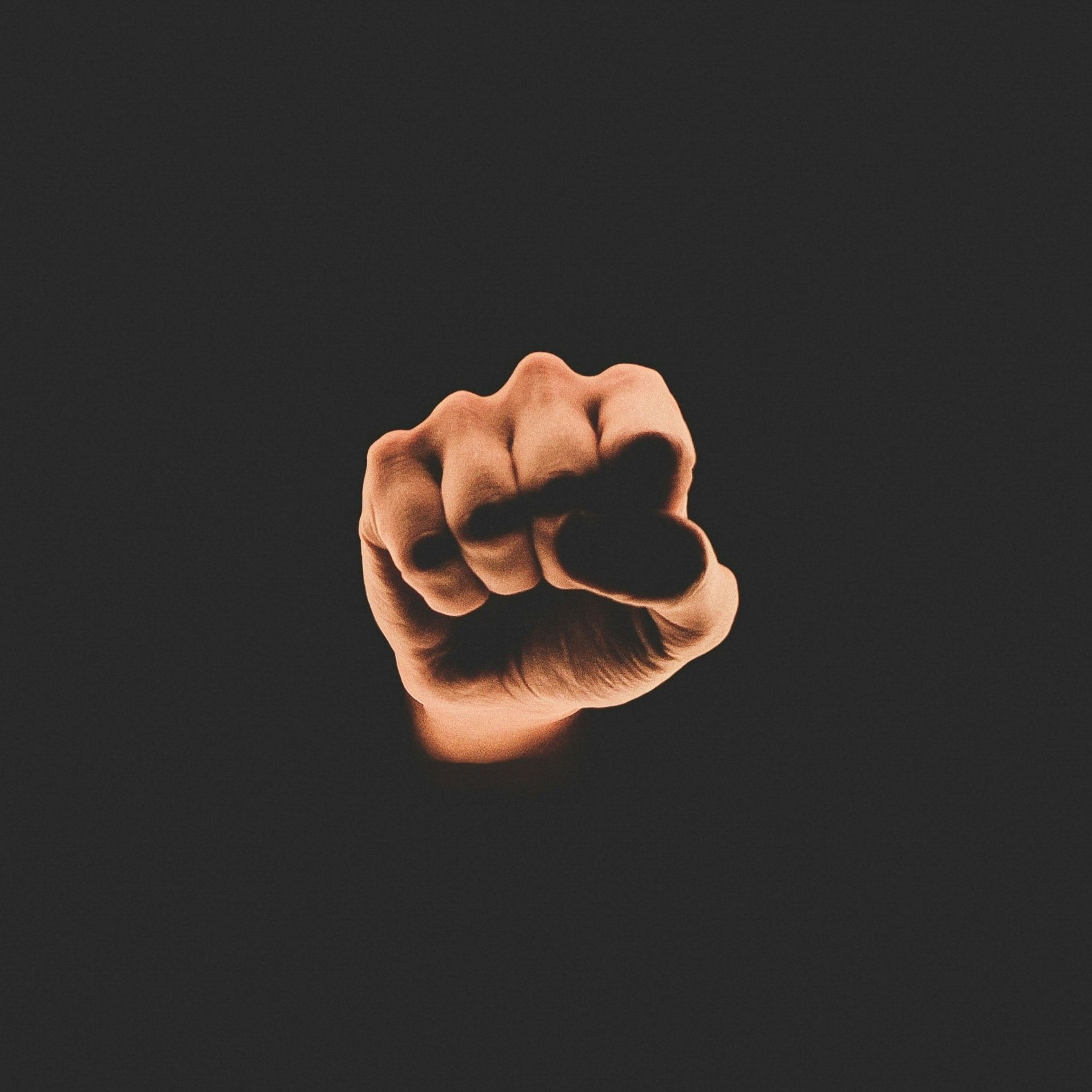"ça arrive près de chez vous" avec le réalisateur François Charles  | #LEGISLATIVES2024 episode artwork