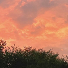 why do you stay in my memories