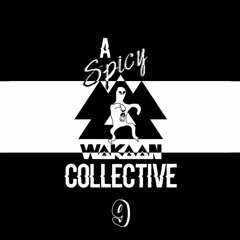 A Spicy Wakaan Collective 9