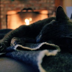blanket