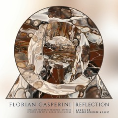 PREMIERE:  Florian Gasperini - Reflection (Vandelor Remix) [Stellar Fountain]