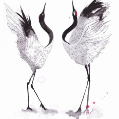 Dancing With The Birds