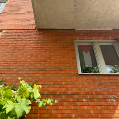 garden mix 2025