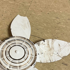 Broken Fan