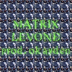 The Matrix (Okayden mix)