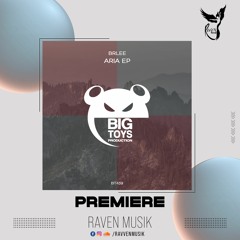 PREMIERE: Brlee - Robot (Original Mix) [Big Toys Productions]