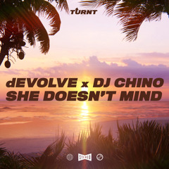 dEVOLVE, DJ Chino - She Doesn't Mind