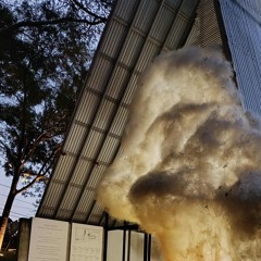 I Want You Around - Snoh Aalegra Cover