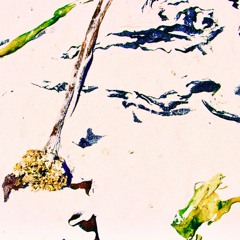 the hope; a place like