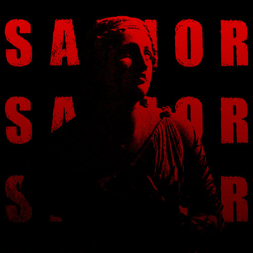 NDSP - SAVIOR