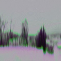 Elder
