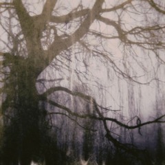 Mine [Reeks]