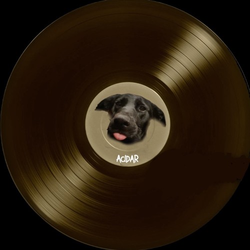 Back To The Acidlane