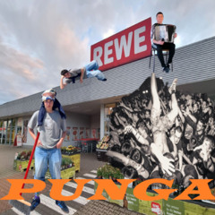 Punga