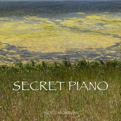 Secret piano