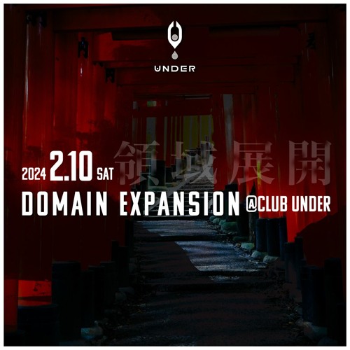 DJ ANNY - Domain Expansion 領域展開