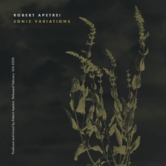 Robert Apetrei - Step Back