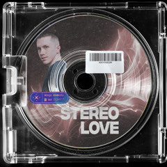 MEGA FUNK STEREO LOVE ( DJ RAYAN TEMOCHKO )