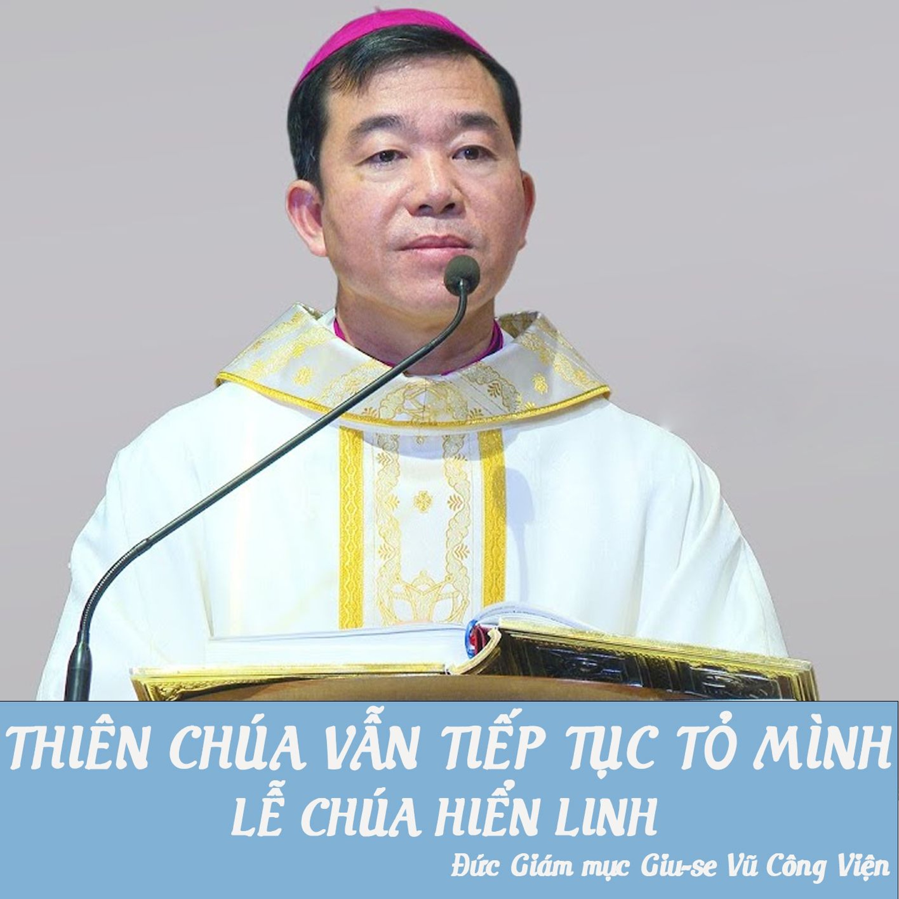 Thiên Chúa vẫn tiếp tục tỏ mình _ Đức Giám mục Giu-se Vũ Công Viện episode artwork