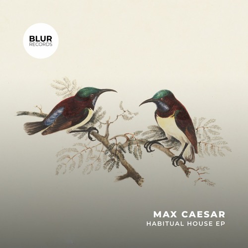 PREMIERE: Max Caesar - Don't You Worry [Blur Records]
