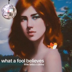 what a fool believes
