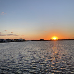 Metamorphosis (Instrumental)