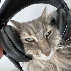 1 - Hardtech/Indus/Hardmusic