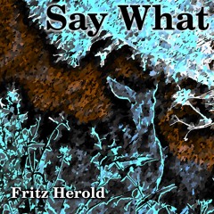 Say What #8