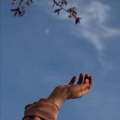 noi ta cho em _ will (slowed + reverb)