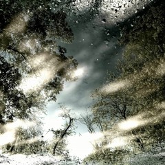 the end of everything and the beginning of nothing