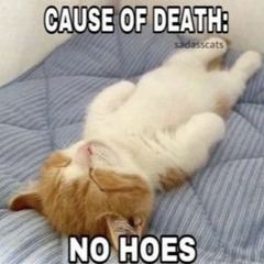 Insane S & Mind Compressor - Banana Peels (xn88ax edit)