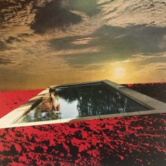 Nauru's Elegy feat. Acid Orphan