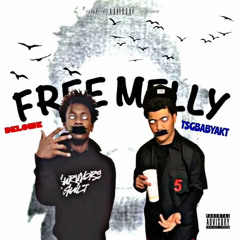 TsgBabyAkt “Free Melly” ft. Delowe