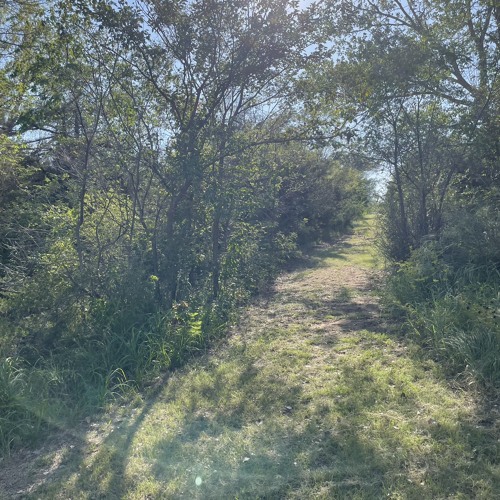 tìm tòi (bản chưa chính thức) - ân ngờ