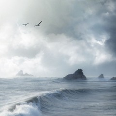 Be Free
