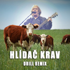 Jaromír Nohavica - Hlídač krav (Tomas Drewin Drill Remix)