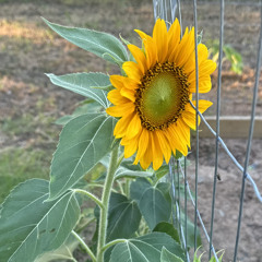 You’d love it here (I miss you)