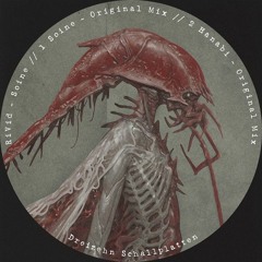 RiVid - Soine [Cut] Dreizehn Schallplatten