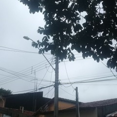 hoje o dia tá bonito