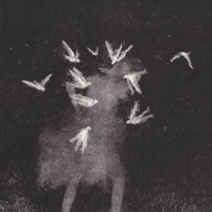 COVEN (drill, ft. ellis)