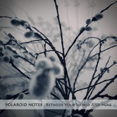 Polaroid Notes - Between Your World And Mine