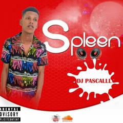 Spleen By DJ Pascal @2020 [Support By DJ PLC]