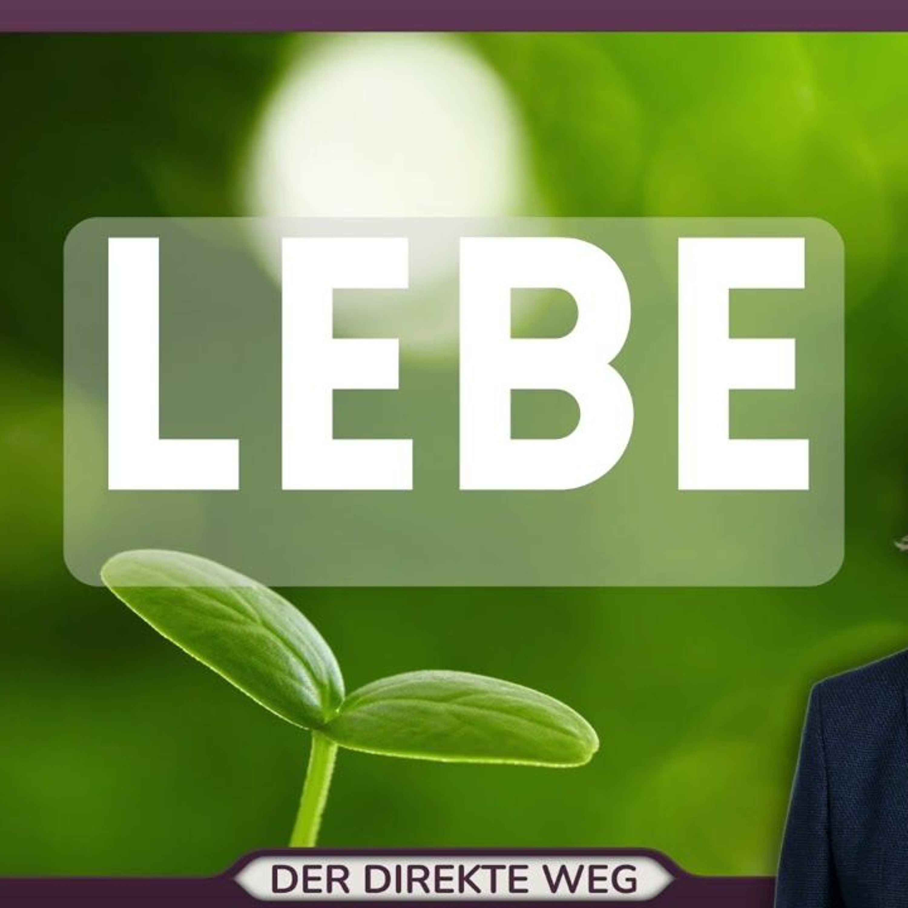 Gottfried Sumser - DER DIREKTE WEG - Ein Kurs in Wundern
