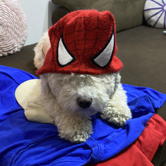 ke tes bn por ahora cover