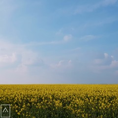 Faithless - Crazy English Summer (Theo Sinclair's Breakbeat Bit)